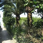 Soleluna