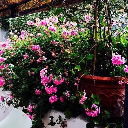 Bed & Breakfast Soleluna