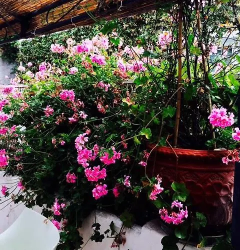 Alojamento de Acomodação e Pequeno-almoço Soleluna