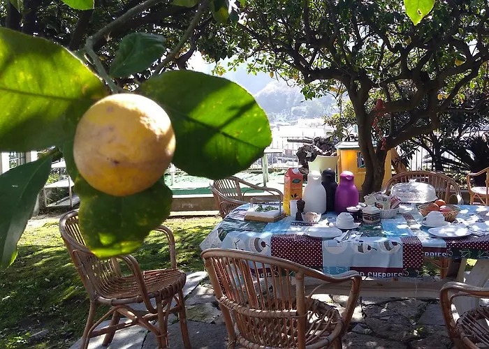 Soleluna Alojamento de Acomodação e Pequeno-almoço 4*