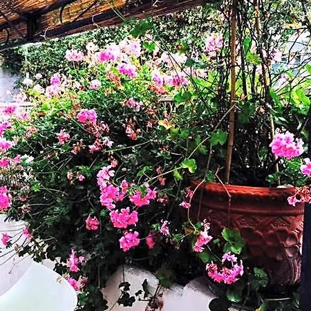 Soleluna 4* Capri